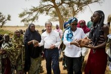 世界粮食计划署执行总干事与联合国难民署高级专员联合发表尼日尔人道主义危机的声明
